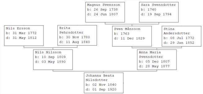 Grundläggande släktträd som leder oss till Johanna Beata Nilsdotter